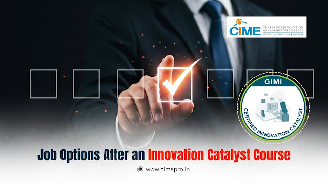 Job Options After an Innovation Catalyst Course
